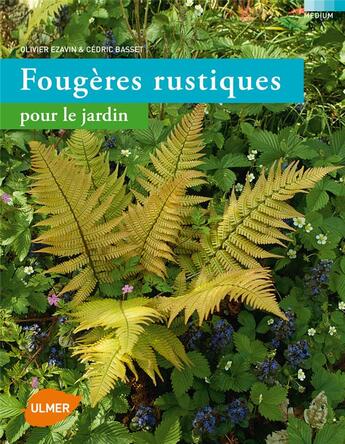 Couverture du livre « Fougères rustiques pour le jardin » de Olivier Ezavin et Cedric Basset aux éditions Eugen Ulmer