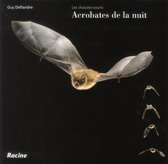 Couverture du livre « Les chauves-souris, acrobates de la nuit » de Guy Deflandre aux éditions Editions Racine