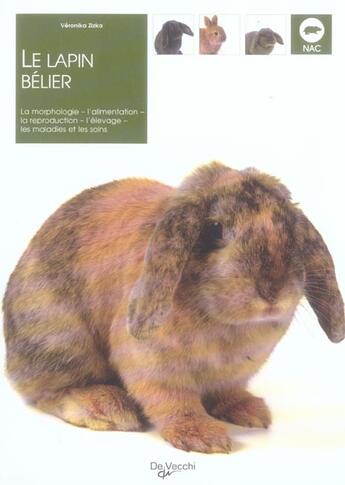 Couverture du livre « Lapin belier (le) » de Zizka Veronika aux éditions De Vecchi