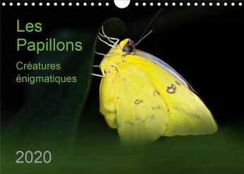 Couverture du livre « Les Papillons, créatures énigmatiques (édition 2020) » de Zeidler Thomas aux éditions Calvendo