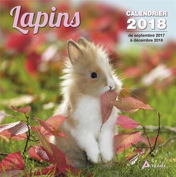 Couverture du livre « Lapins (édition 2018) » de  aux éditions Artemis