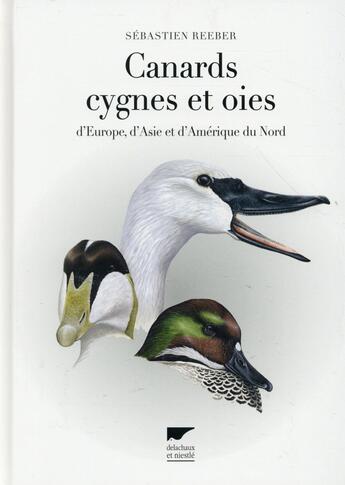 Couverture du livre « Canards, cygnes et oies d'Europe, d'Asie et d'Amérique du Nord » de Sebastien Reeber aux éditions Delachaux & Niestle