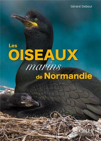 Couverture du livre « Les oiseaux marins de Normandie » de Gerard Debout aux éditions Orep