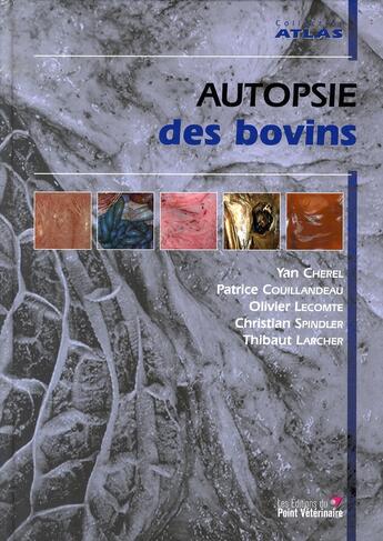 Couverture du livre « Autopsie des bovins » de Cherel/Larcher aux éditions Le Point Veterinaire