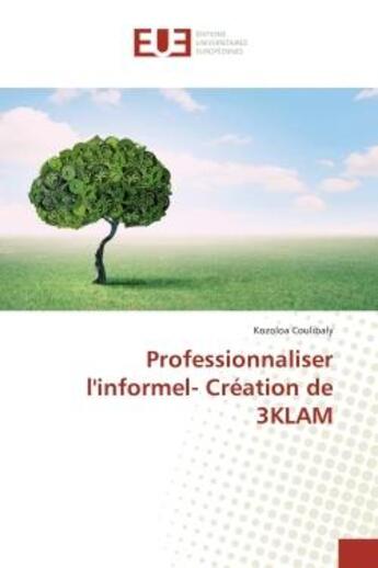 Couverture du livre « Professionnaliser l'informel- Creation de 3KLAM » de Kozoloa Coulibaly aux éditions Editions Universitaires Europeennes