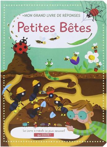 Couverture du livre « Mon grand livre de réponses ; petites bêtes » de  aux éditions Yoyo Books