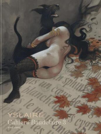 Couverture du livre « Cahiers Baudelaire Tome 3 » de Yslaire aux éditions Dupuis