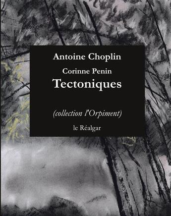 Couverture du livre « Tectoniques » de Antoine Choplin et Corinne Penin aux éditions Le Realgar