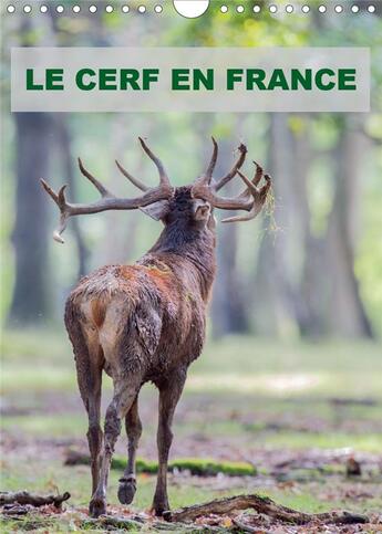 Couverture du livre « Le cerf en france calendrier mural 2020 din a4 vertical - photographies de cerfs en fran » de Edouard Bernasc aux éditions Calvendo