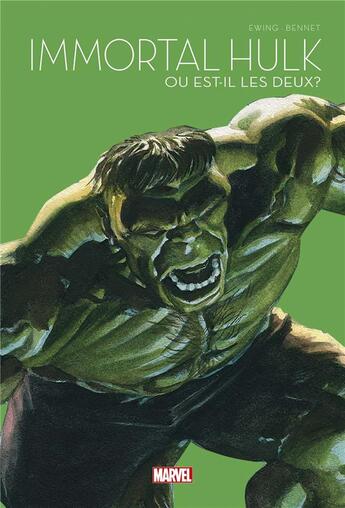 Couverture du livre « Immortal Hulk Tome 1 : où est-il les deux ? » de Al Ewing et Joe Bennett aux éditions Panini