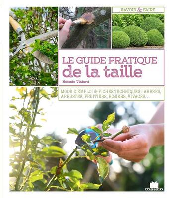 Couverture du livre « Guide pratique de la taille ; mode d'emploi & fiches techniques : arbres, arbustes, fruitiers, rosiers, vivaces... » de Noemie Vialard aux éditions Massin