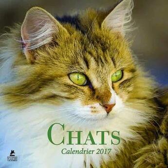 Couverture du livre « Calendrier chats 2017 » de  aux éditions Place Des Victoires