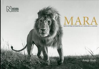 Couverture du livre « Mara ; rencontres intimes au coeur de la savane » de Anup Shah aux éditions White Star