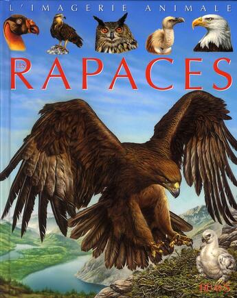 Couverture du livre « Les rapaces » de Marie-Christine Lemayeur et Bernard Alunni et Sabine Boccador aux éditions Fleurus