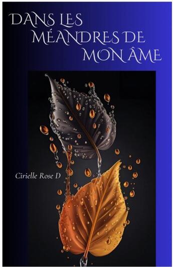 Couverture du livre « Dans les méandres de mon âme » de Cirielle Rose D aux éditions Thebookedition.com