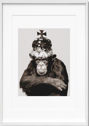 Couverture du livre « Albert Watson ; art edition King Casey, New York City, 1992 » de  aux éditions Taschen