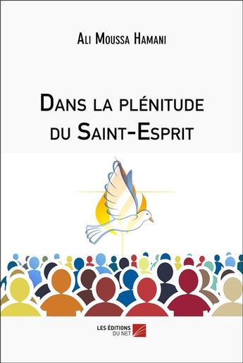 Couverture du livre « Dans la plénitude du saint-esprit » de Ali Moussa Hamani aux éditions Editions Du Net