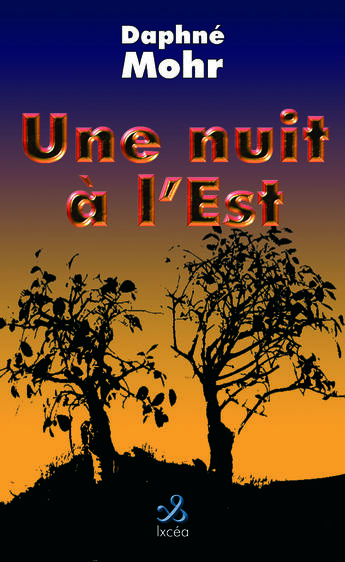 Couverture du livre « UNE NUIT A L'EST » de Mohr Daphnee aux éditions Ixcea