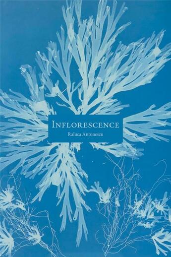 Couverture du livre « Inflorescence » de Raluca Antonescu aux éditions La Baconniere