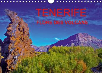 Couverture du livre « Tenerife flore des volcans calendrier mural 2020 din a4 horizontal - des champs de lave barioles de » de Jean-Luc Bohin aux éditions Calvendo