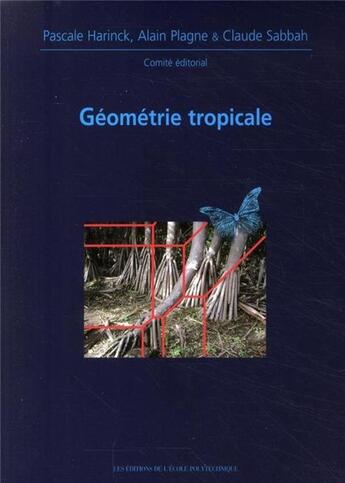 Couverture du livre « Géometrie tropicale ; journées mathématiques » de Brugalle/Itenberg aux éditions Ecole Polytechnique