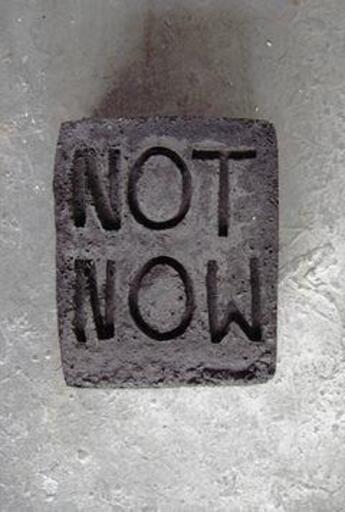 Couverture du livre « Not now » de Esther Klas aux éditions Dap Artbook