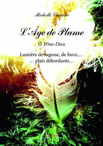 Couverture du livre « L'âge de plume ; ô Trine-Dieu ; lumière de sagesse, de force,... plats débordants... » de Michelle Cuvelier aux éditions Edilivre