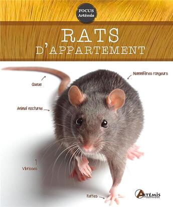 Couverture du livre « Rats d'appartement » de Petra Dietz et Eva-Grit Schneider aux éditions Artemis