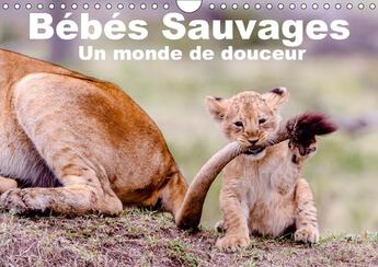 Couverture du livre « Bebes sauvages un monde de douceur calendrier mural 2018 din - bebes mamiferes dans leur envi » de Hagege M aux éditions Calvendo