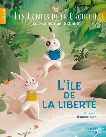 Couverture du livre « Les contes de la chouette : l'île de la liberté » de Éric-Emmanuel Schmitt et Barbara Brun aux éditions Hachette Enfants