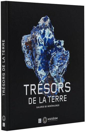 Couverture du livre « Trésors de la terre ; galerie de minéralogie » de  aux éditions Reunion Des Musees Nationaux