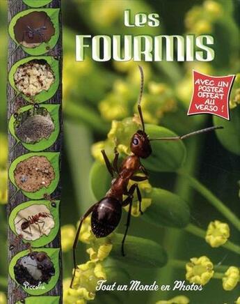 Couverture du livre « Tout un monde en photos ; les fourmis » de  aux éditions Piccolia