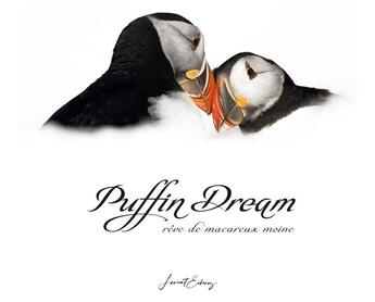 Couverture du livre « Puffin dream : rêve de macareux moine » de Laurent Echenoz aux éditions Laurent Echenoz