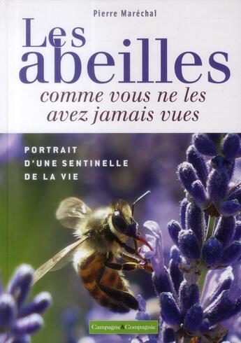 Couverture du livre « Les abeilles comme vous ne les avez jamais vues ; portrait d'une sentinelle de la vie » de Pierre Marechal aux éditions France Agricole