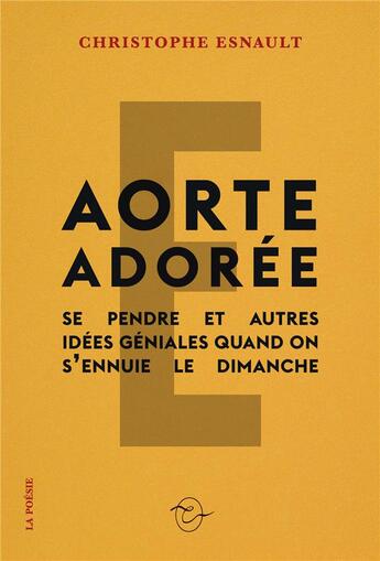 Couverture du livre « Aorte adorée : se pendre et autres idées géniales quand on s'ennuie le dimanche » de Christophe Esnault aux éditions Conspiration