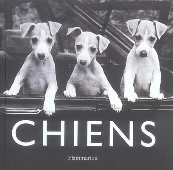 Couverture du livre « Chiens » de Suares J.C aux éditions Flammarion