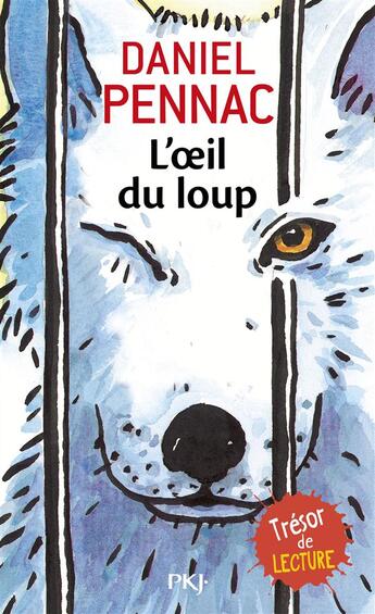 Couverture du livre « L'oeil du loup » de Daniel Pennac aux éditions Pocket Jeunesse