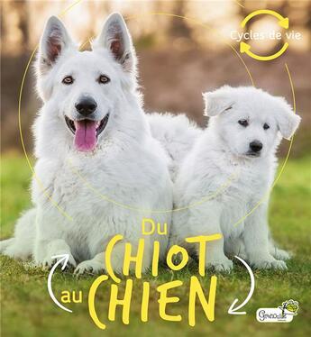 Couverture du livre « Du chiot au chien » de Camilla De La Bedoyere aux éditions Grenouille