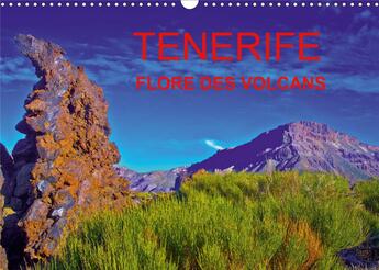 Couverture du livre « Tenerife flore des volcans calendrier mural 2020 din a3 horizontal - des champs de lave barioles de » de Jean-Luc Bohin aux éditions Calvendo