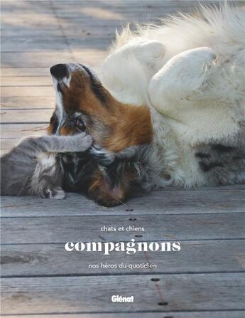 Couverture du livre « Compagnons ; chats et chiens, nos héros du quotidien » de Charlotte Dumas aux éditions Glenat