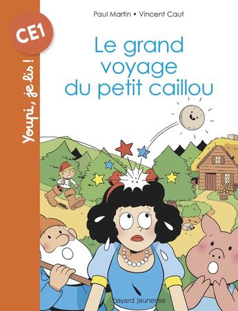 Couverture du livre « Le grand voyage du petit caillou » de Paul Martin aux éditions Bayard Jeunesse