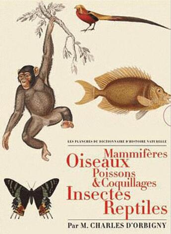 Couverture du livre « Les planches du dictionnaire d'histoire naturelle ; coffret » de Charles D' Orbigny aux éditions Bibliotheque De L'image