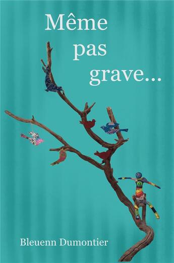 Couverture du livre « Même pas grave... » de Bleuenn Dumontier aux éditions Librinova