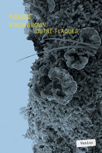 Couverture du livre « Outre-flaques » de Simon Brown aux éditions Vanloo