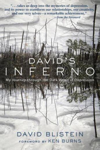 Couverture du livre « David's Inferno » de Blistein David aux éditions Hartherleigh Press Digital