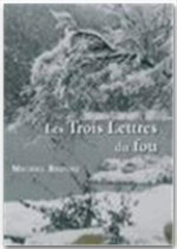 Couverture du livre « Les trois lettres du fou » de Michel Bigoni aux éditions Jepublie