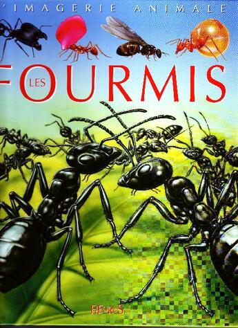 Couverture du livre « Fourmis » de Boccador/Beaumont aux éditions Fleurus