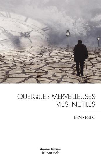 Couverture du livre « Quelques merveilleuses vies inutiles » de Denis Bedu aux éditions Editions Maia