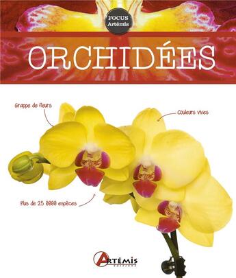 Couverture du livre « Orchidées » de Robert Ketchell aux éditions Artemis