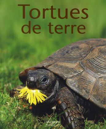 Couverture du livre « Tortues de terre » de Hartmut Wilke aux éditions Hachette Pratique